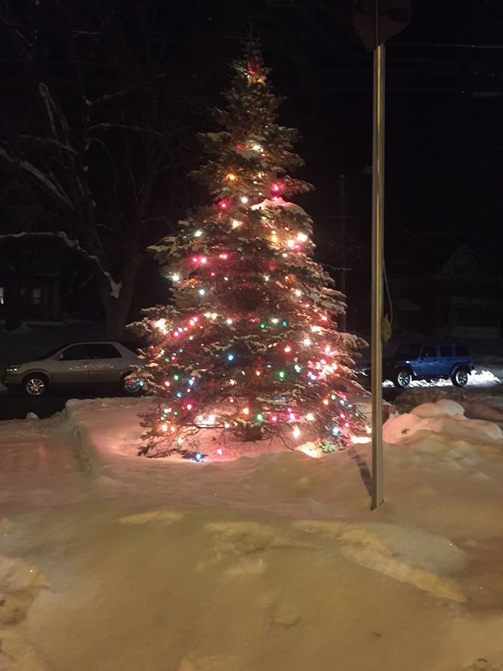 lighted christmas tree