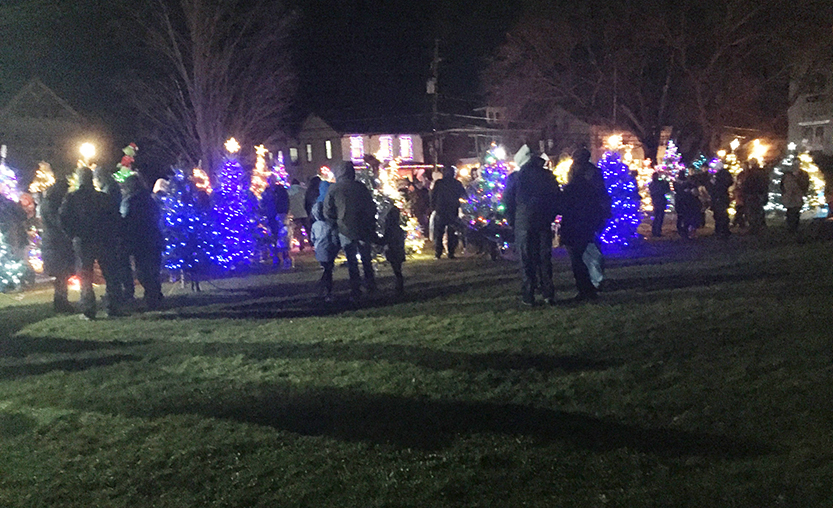 group of people outside in front of row of lit Christmas trees