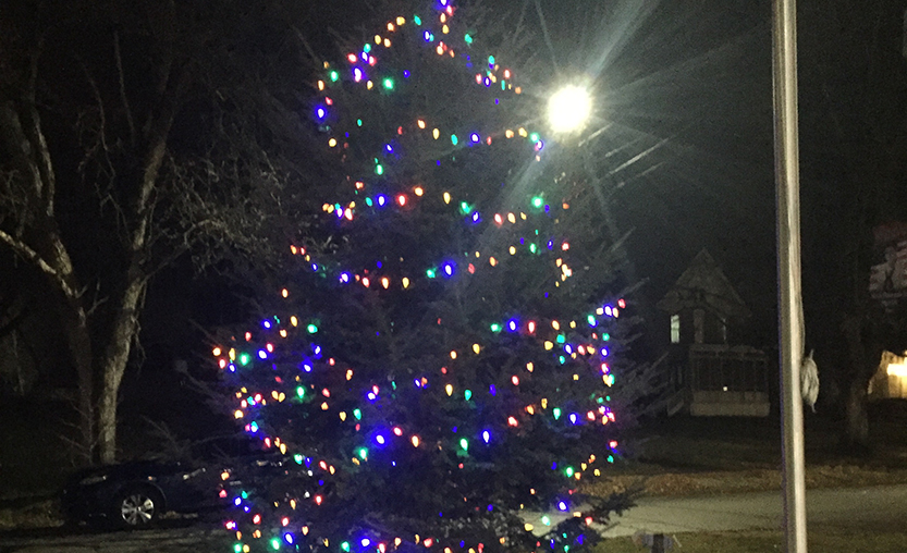 large Christmas tree lit up at night